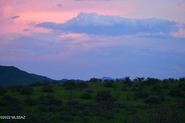 DSC_0725 | Image 6