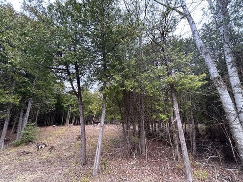 00 Snowdons Corners Rd, Merrickville, ON, K0G1N0 | Card Image