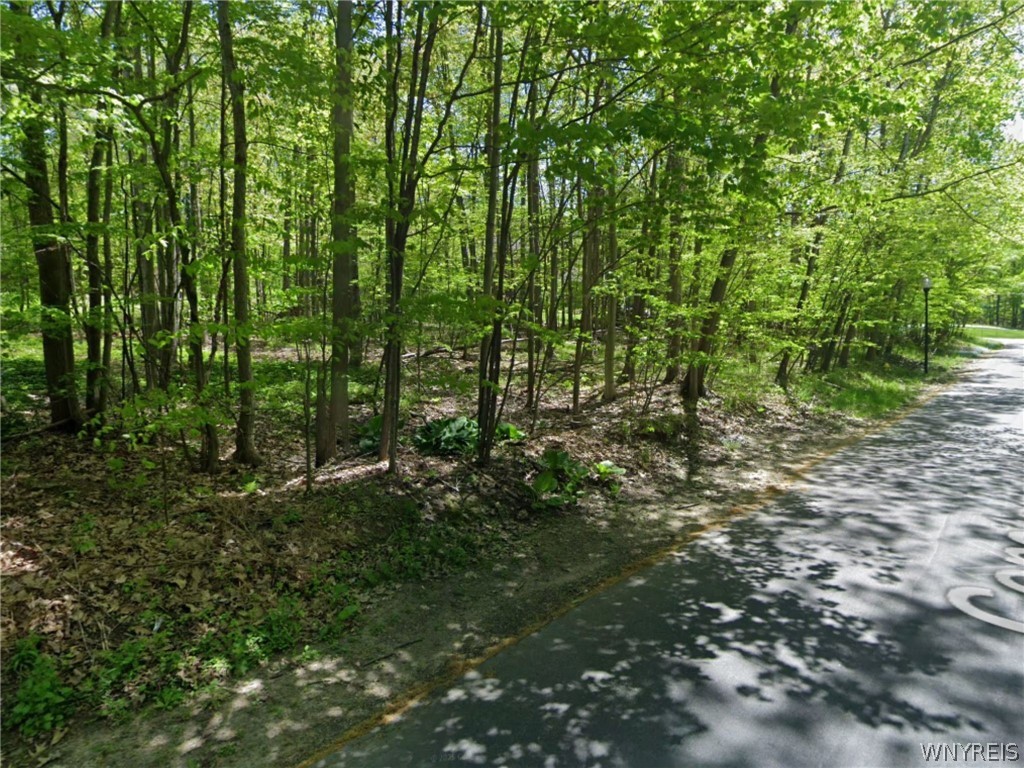 Land in Jamestown 4