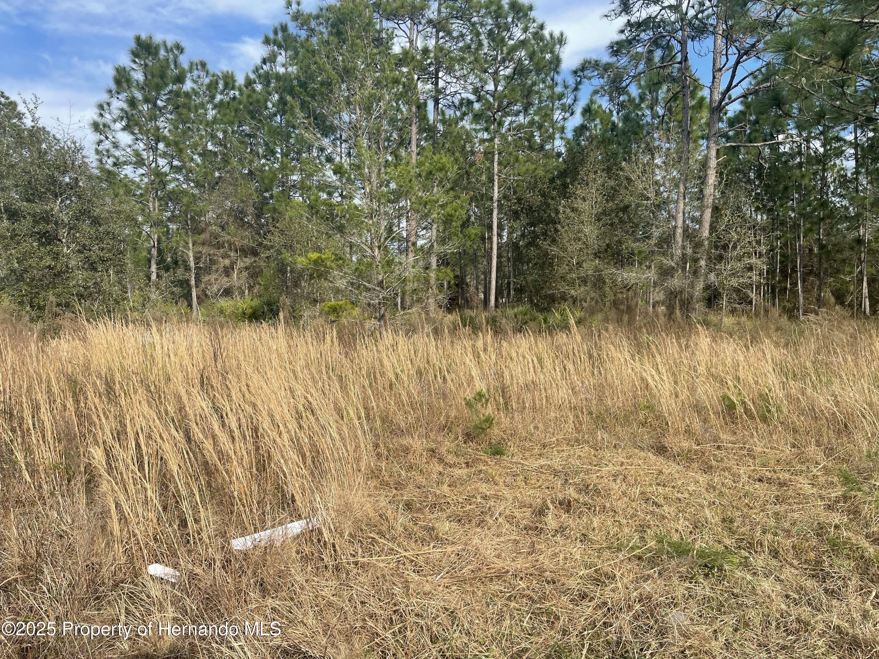 Land in Brooksville
