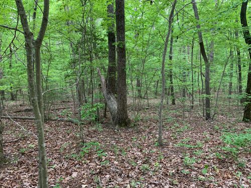 000 N Stewart Ln, Rising Fawn, GA, 30738 | Card Image