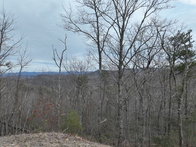 235 Andes Rdg, Home with 0 bedrooms, 0 bathrooms and null parking in Ellijay GA | Image 21