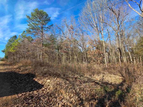 49 Meadow Brook Lane, Sage, AR, 72556 | Card Image