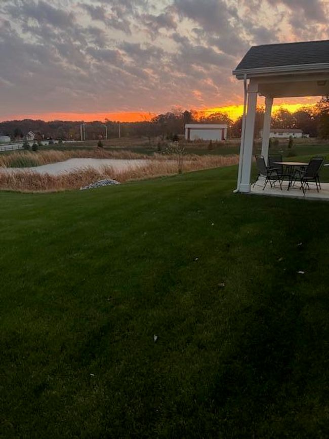 pond 2 | Image 18