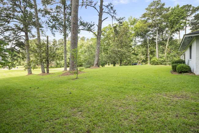 Yard | Image 5