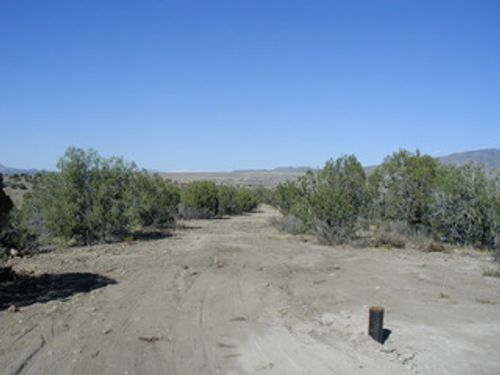 19531 E Wagon Master Drive, Wikieup, AZ, 85360 | Card Image