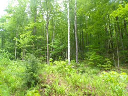 0 Foliage Ln, Barton, VT, 05822 | Card Image
