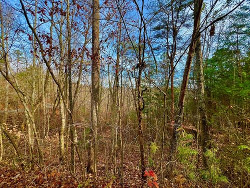 8 Firefly Ridge Rd, Blairsville, GA, 30512-8616 | Card Image