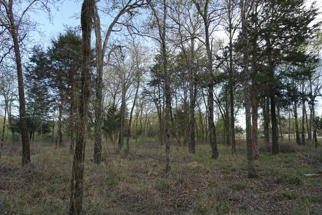 01 Private Rd 5401, Home with 0 bedrooms, 0 bathrooms and null parking in Malakoff TX | Image 13