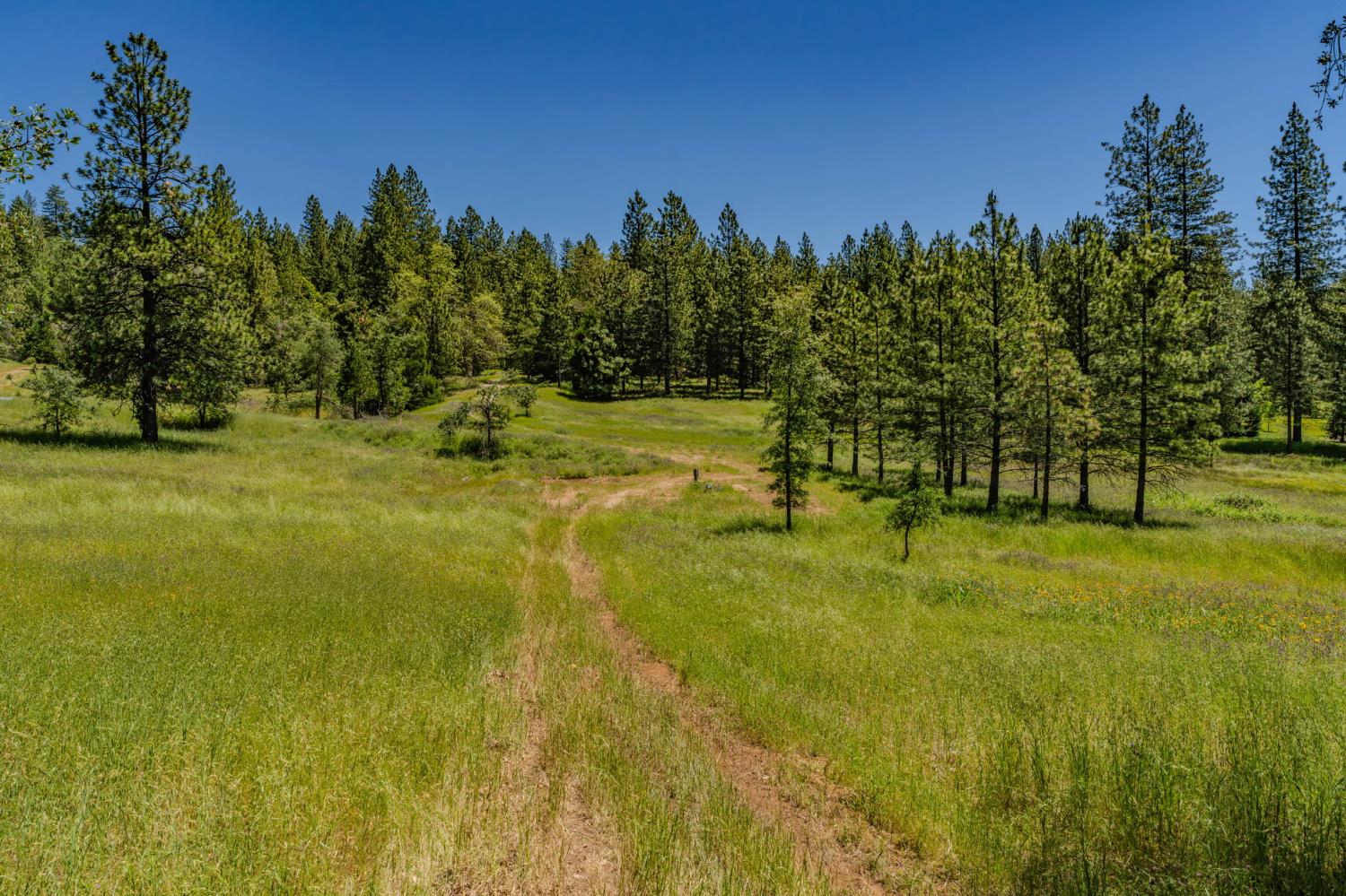 Land in Pioneer 3