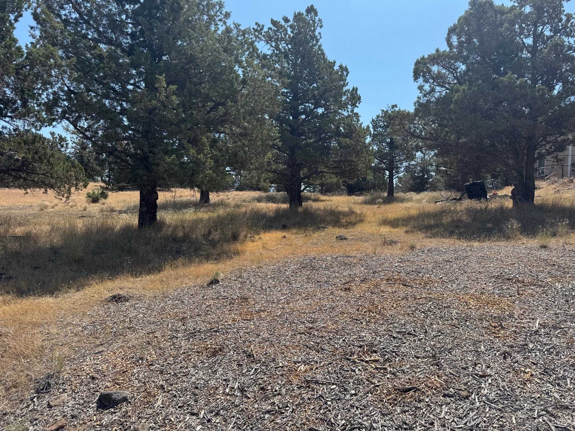 Land in Weed 3