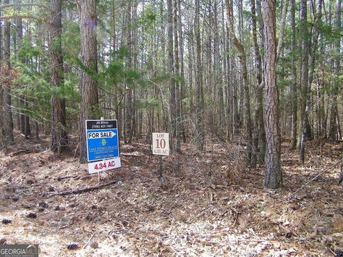LOT 10 Blackberry Bend Dr, Elberton, GA, 30635 | Card Image