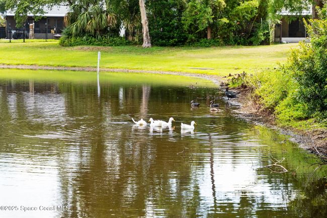 3010 Coventry Ct, House other with 3 bedrooms, 3 bathrooms and null parking in Cocoa FL | Image 6