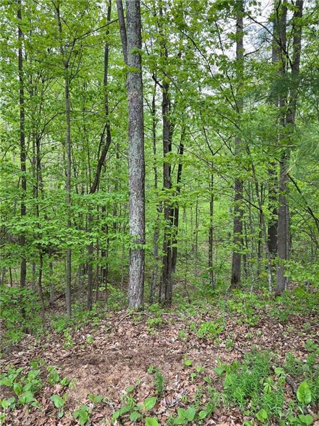W 4670 County Highway F, House other with 2 bedrooms, 1 bathrooms and null parking in SPRINGBROOK WI | Image 9