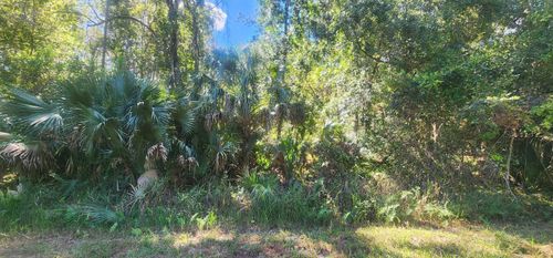 427 Dogwood Ave, Georgetown, FL, 32139 | Card Image