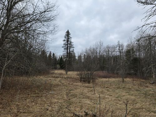 L4, B3 288th Avenue Nw, Zimmerman, MN, 55398 | Card Image