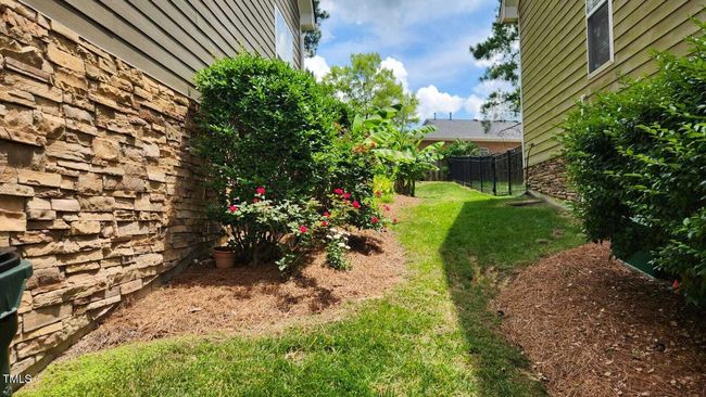 Back Yard | Image 5
