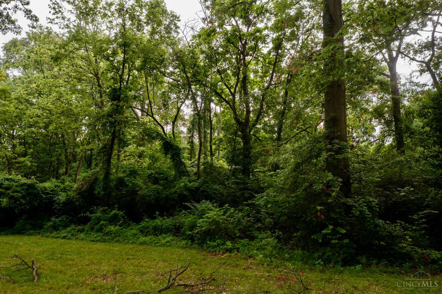Land in Miami Twp 5