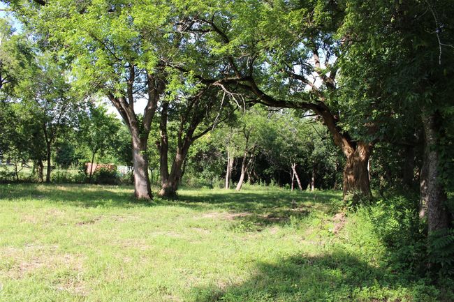 View of nature | Image 7