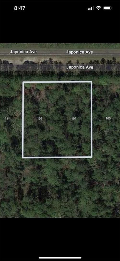 109 Japonica Ave, Indian Lake Estates, FL, 33855 | Card Image