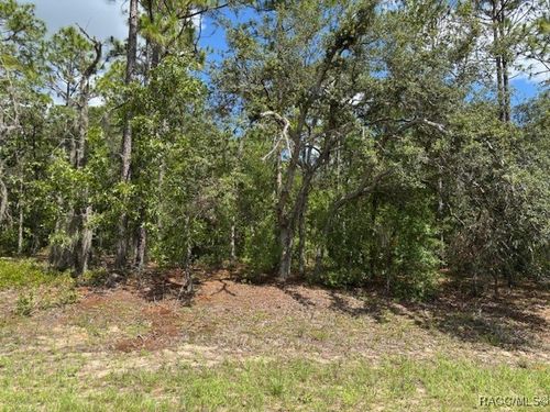 7462 N Sugarberry Dr, CITRUS SPRINGS, FL, 34434 | Card Image