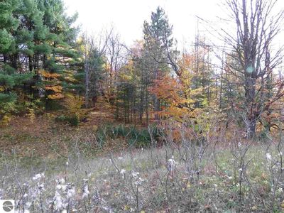 Lot 63 Eden Street, Home with 0 bedrooms, 0 bathrooms and null parking in Kingsley MI | Image 2