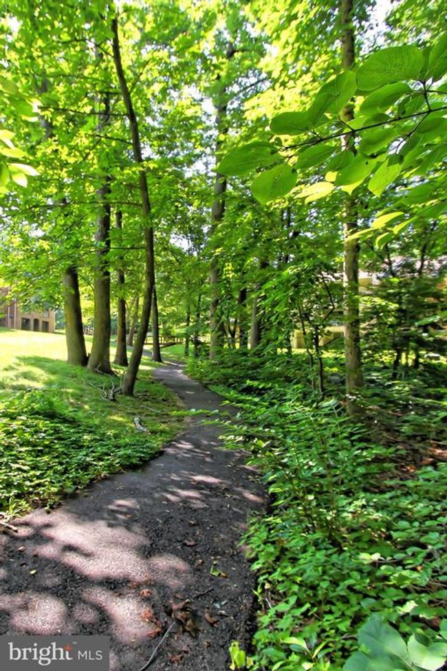 APT-101 - 5823 Cove Landing Rd, Condo with 1 bedrooms, 1 bathrooms and null parking in BURKE VA | Image 29