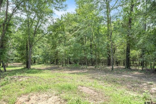 TBD (16 Acres) Vz County Road 1804, Grand Saline, TX, 75140 | Card Image