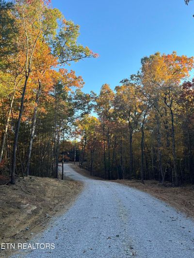 105 Cherokee Path, Home with 0 bedrooms, 0 bathrooms and null parking in Tellico Plains TN | Image 1