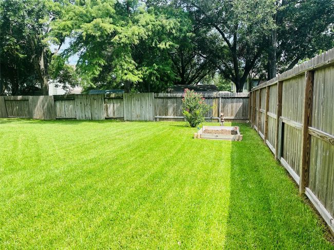 BACKYARD | Image 11