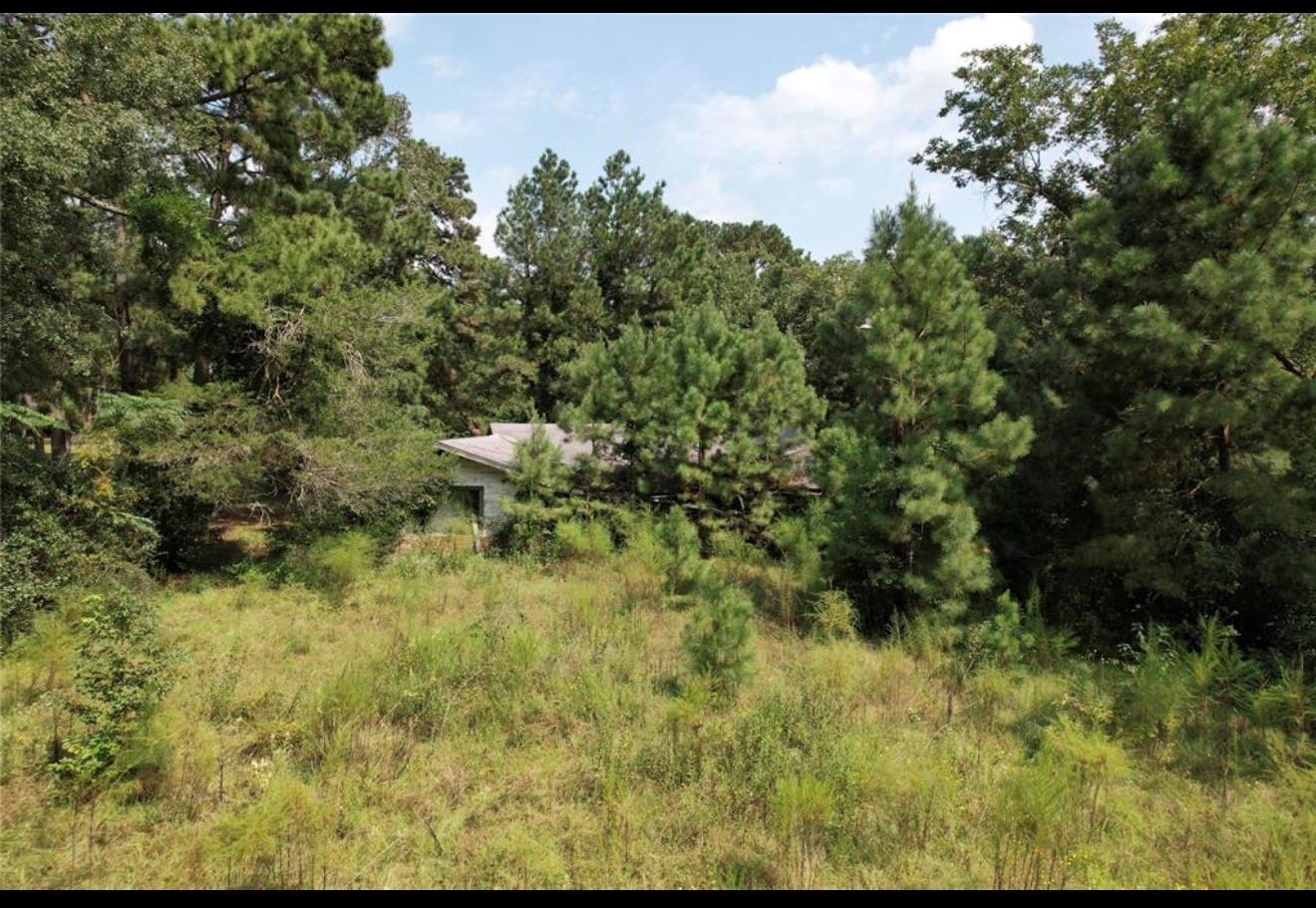 Land in Groveton 5
