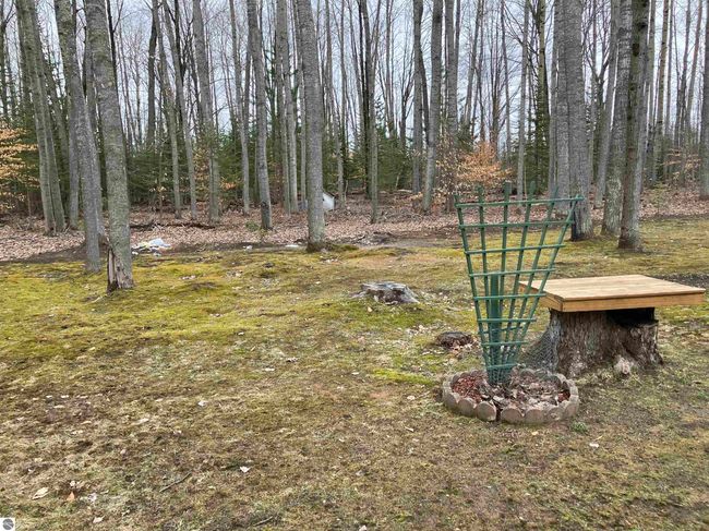 1295 Wa Ba Tesse Dr Ne, House other with 2 bedrooms, 1 bathrooms and null parking in Kalkaska MI | Image 19