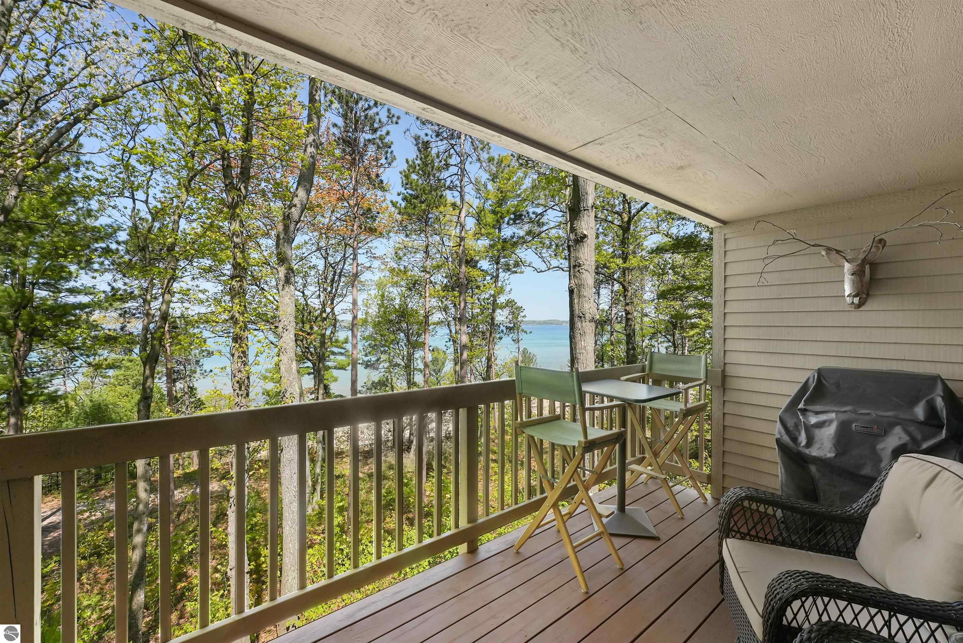 Clearwater Dr, Williamsburg, MI 49690