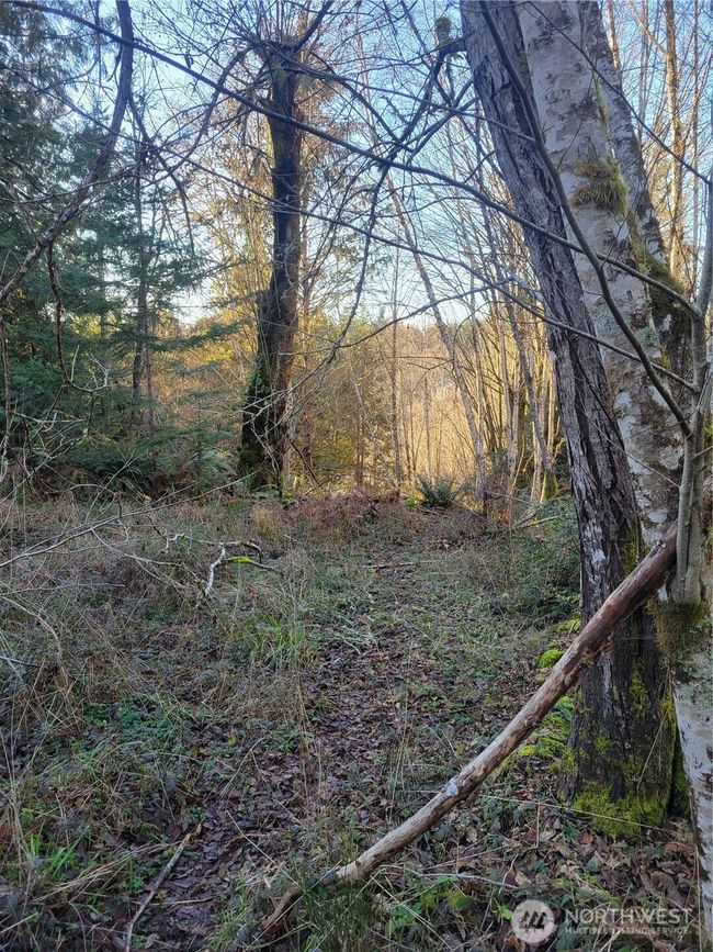 Cleared building site | Image 25