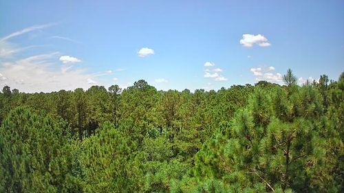 0 Nursery Rd, Reevesville, SC, 29471 | Card Image