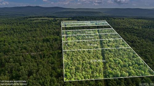 Lot 6 Melvin Lane, Dover, AR, 72837-8082 | Card Image