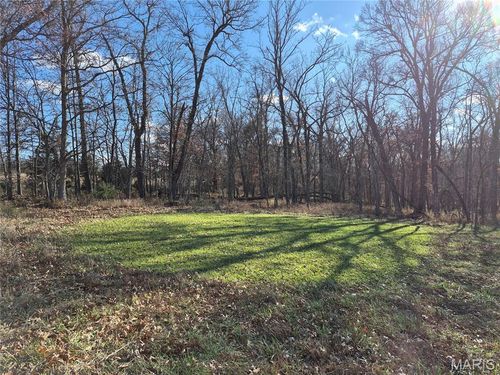 0 County Road 197 - Tract 2 (30+/- Acres), Montgomery City, MO, 63361 | Card Image