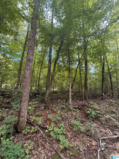 lot-0 County Road 312, Maplesville, AL, 36750 | Card Image