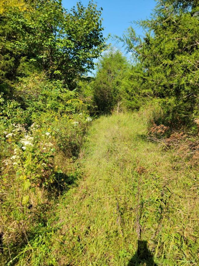 15711 Pfanstiel Rd, Home with 0 bedrooms, 0 bathrooms and null parking in Demossville KY | Image 8