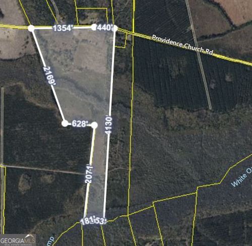 76 ACRES Providence Church Rd, White Oak, GA, 31568 | Card Image