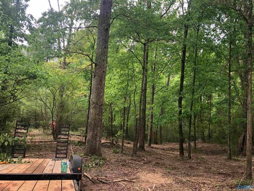 Lot 18 & 19 Meadow Wood Cir Nw, Arab, AL, 35016 | Card Image