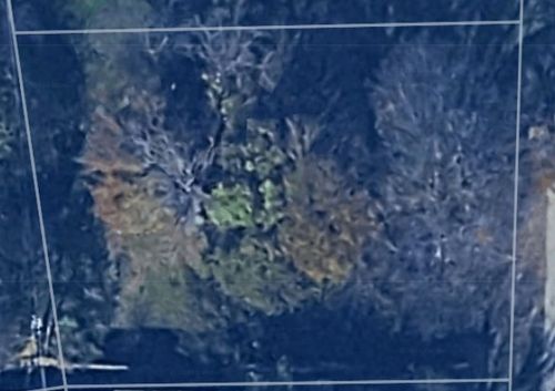 249 Wildwind St, Gun Barrel City, TX, 75156-3925 | Card Image