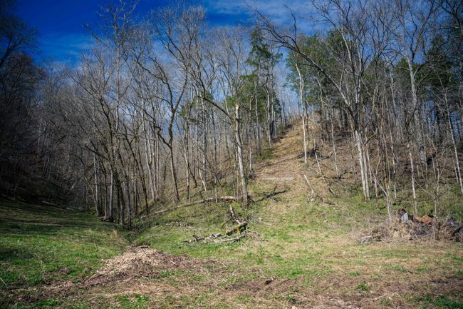 1438 Wartrace Rd, Home with 0 bedrooms, 0 bathrooms and null parking in Red Boiling Springs TN | Image 13