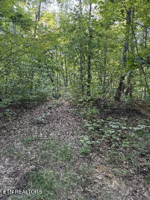 125 Gill Burgess Rd, Oliver Springs, TN, 37840-3712 | Card Image