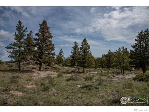 22 Mount Apiatan Ct, Livermore, CO, 80536-8669 | Card Image