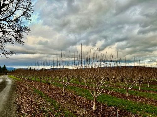 4100 Portland Dr, Hood River, OR, 97031-9622 | Card Image