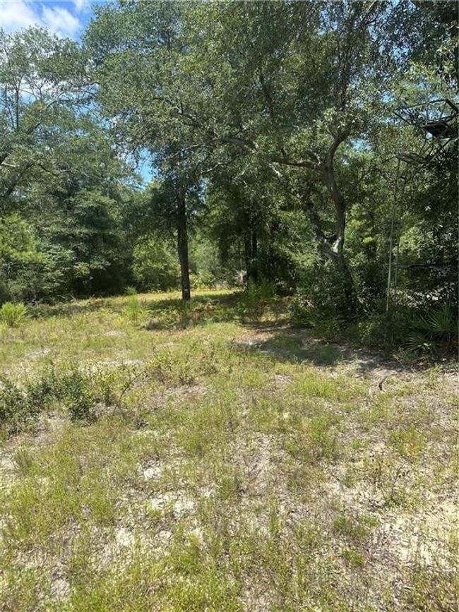 View of local wilderness | Image 8