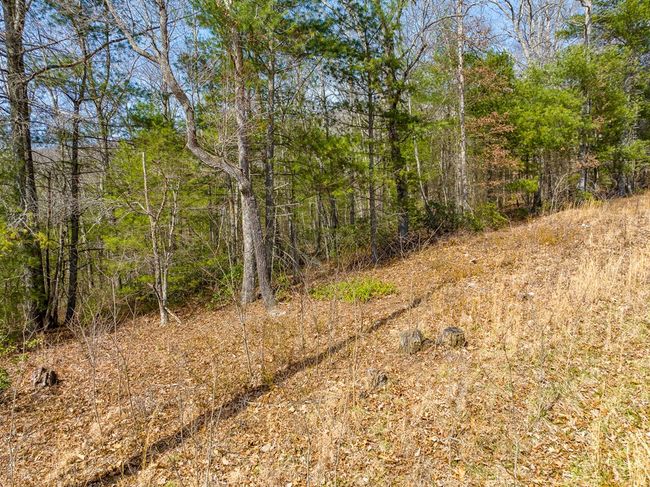 Lot 6 N Sunset Lane, Home with 0 bedrooms, 0 bathrooms and null parking in Bland VA | Image 23