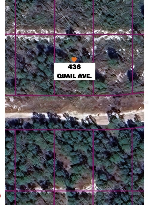 436 Quail Ave, SEBRING, FL, 33870 | Card Image