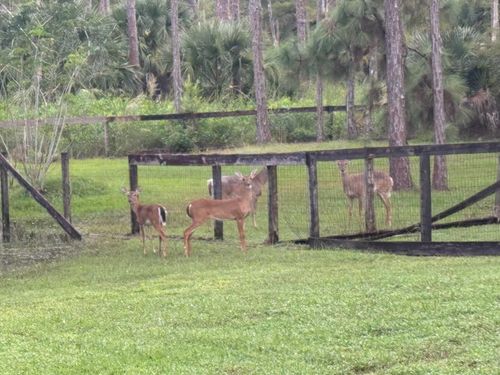 5637 Cougars Prowl, Lake Worth, FL, 33449-8432 | Card Image